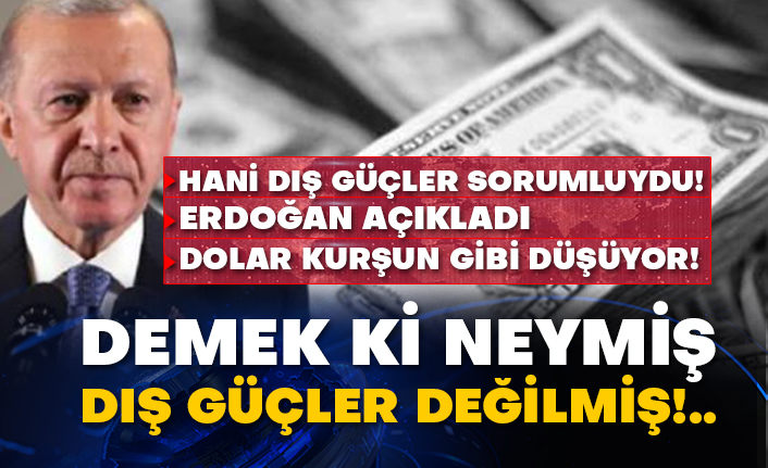 Hani dış güçler sorumluydu! Erdoğan açıkladı dolar kurşun gibi düşüyor! Demek ki neymiş dış güçler değilmiş!..