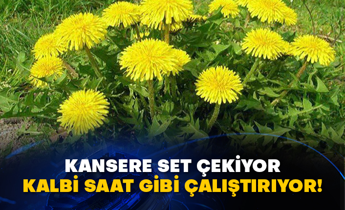 Kansere set çekiyor kalbi saat gibi çalıştırıyor!