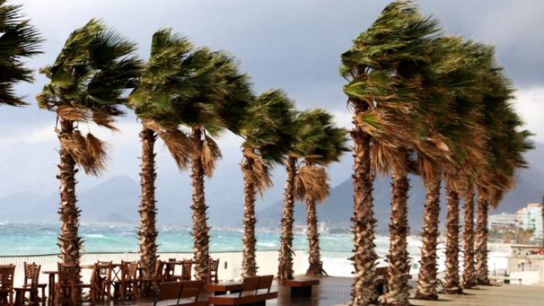 Okullar tatil edildi