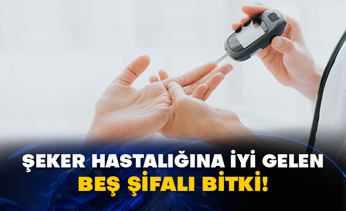 Şeker hastalığına iyi gelen beş şifalı bitki!