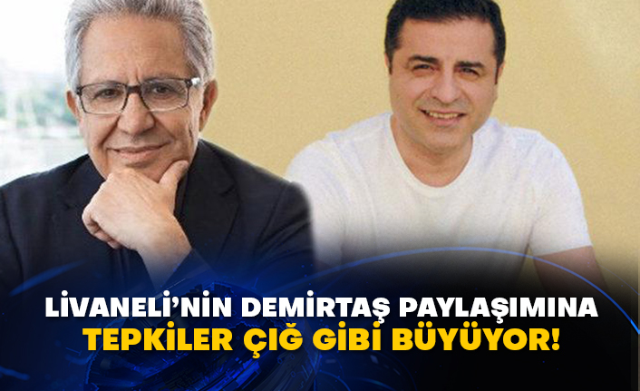 Zülfü Livaneli’nin Demirtaş paylaşımına tepkiler çığ gibi büyüyor!