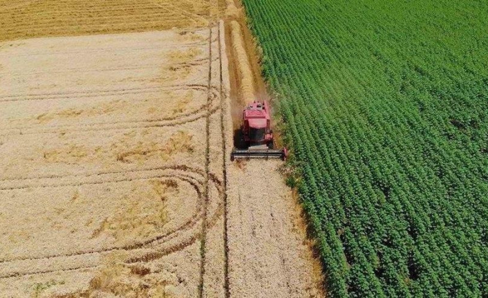 Çiftçinin enflasyonu rekor kırdı