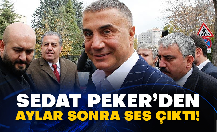 Sedat Peker’den aylar sonra ses çıktı!