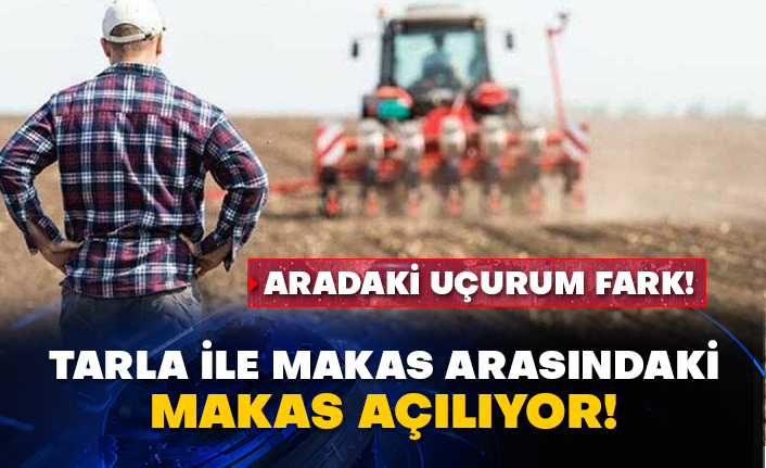 Aradaki uçurum fark! Tarla ile makas arasındaki makas açılıyor!
