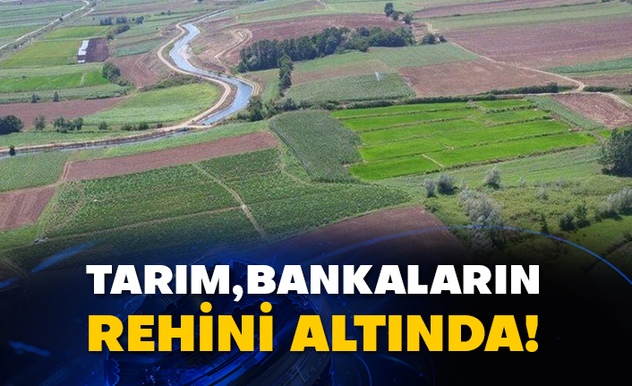 Tarım bankaların rehini altında!