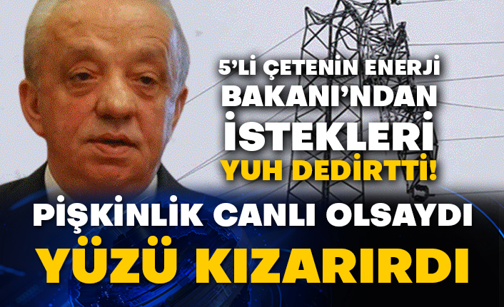 5’li çetenin Enerji Bakanı’ndan istekleri yuh dedirtti!