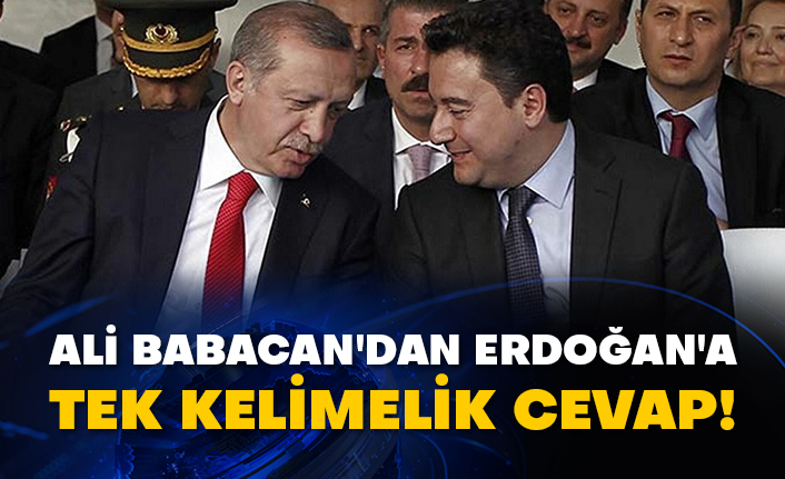 Ali Babacan'dan Erdoğan'a tek kelimelik cevap!