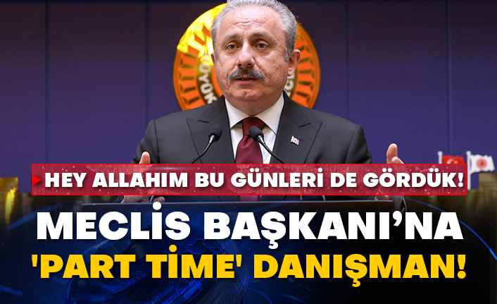 Hey Allahım bu günleri de gördük! Meclis Başkanı’na 'part time' danışman!