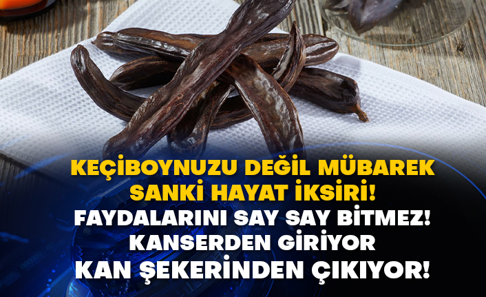 Keçiboynuzu değil mübarek sanki hayat iksiri! Faydalarını say say bitmez! Kanserden giriyor kan şekerinden çıkıyor!