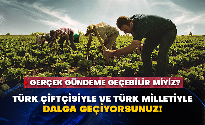 Gerçek gündeme geçebilir miyiz? Türk çiftçisiyle ve Türk milletiyle dalga geçiyorsunuz!