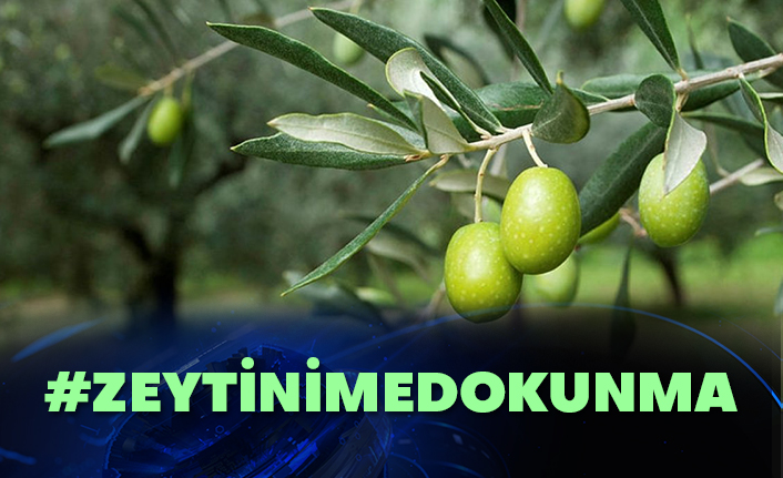 Sosyal medya yıkılıyor: #ZeytinimeDokunma