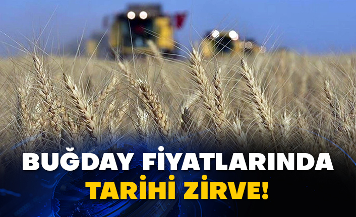 Buğday fiyatlarında tarihi zirve!
