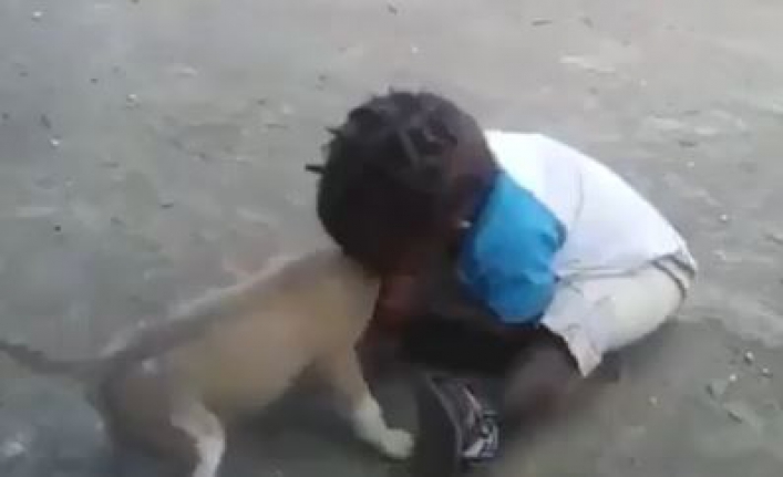 Sosyal medyayı sallayan çocuk ve köpek videosu