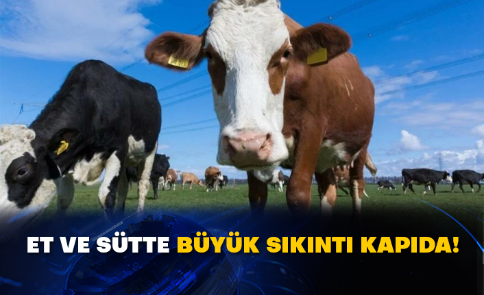Et ve sütte büyük sıkıntı kapıda!
