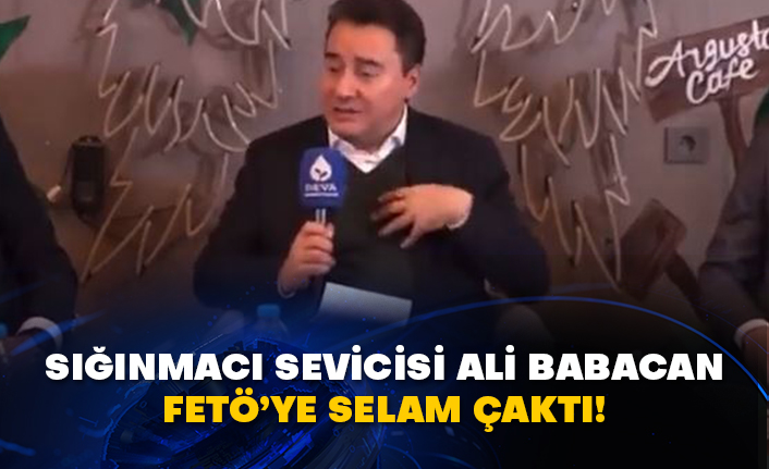 Sığınmacı sevicisi Ali Babacan FETÖ’ye selam çaktı!