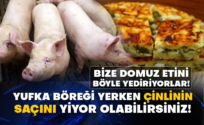 Bize domuz etini böyle yediriyorlar! Yufka böreği yerken Çinlinin saçını yiyor olabilirsiniz!
