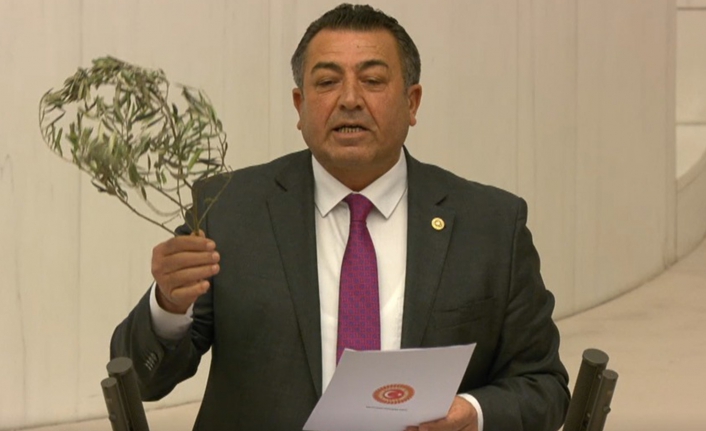 Zeytincilikle ilgili önerge AKP ve MHP oylarıyla reddedildi