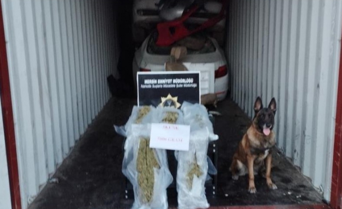 Mersin Limanı'nda 5 kilo 800 gram skunk ele geçirildi