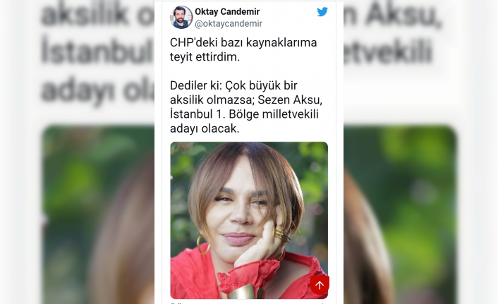 Minik Serçe CHP'den milletvekili adayı mı