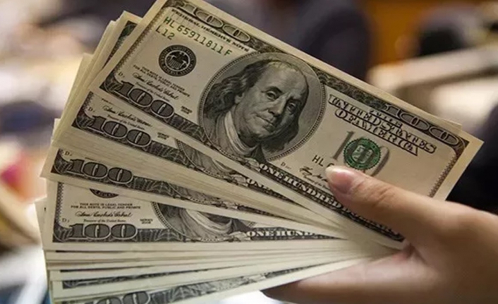 Uzman isimden dolar çıkışı! Göreceği zirveyi açıkladı