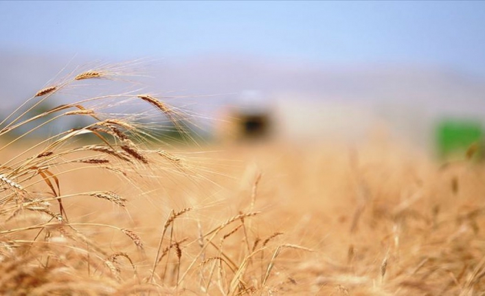 Tarımda yeni önlem: Bir yıl ekilmeyen tarla kiralanacak