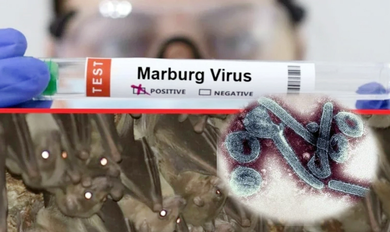 DSÖ AÇIKLADI: DÜNYANIN YENİ DERDİ MARBURG HUMMASI!