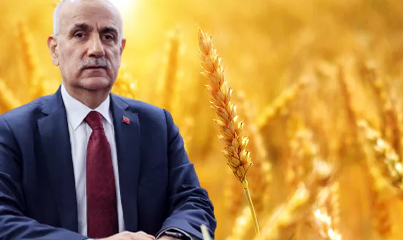TİGEM'in sertifikalı tohum fiyatları açıklandı