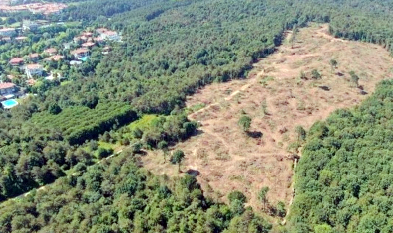 BELEDİYENİN KAÇAK İŞLETMESİNİ ORTAYA ÇIKARDI, GÖREVDEN ALINDI!