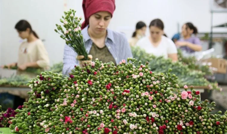 Kraliçe’nin cenazesine Türkiye’den milyonlarca karanfil