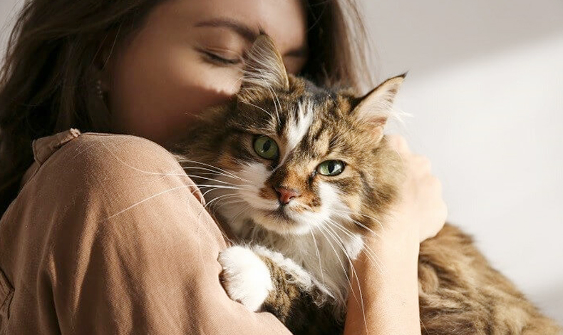 Kedi sahibi olmanın bilimsel faydaları açıklandı!