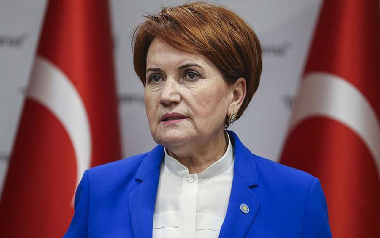 Türk Milliyetçilerinden Meral Akşener’e ihtar!