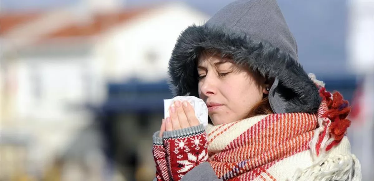 Avusturya, grip salgınıyla uğraşıyor: Bir haftada 394 bin yeni hasta