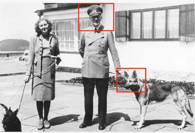 Hitler'in 'Atatürk ' montajlı fotoğrafını Devlet Bahçeli'ye hediye etti!