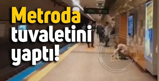 Yok artık dedirten görüntü!