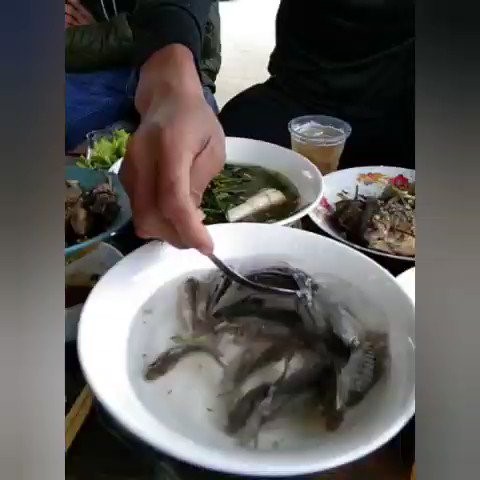 Balığı sosa batırıp canlı canlı yediler!
