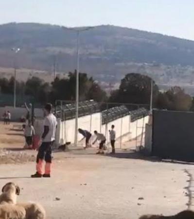 Kanlı kürek vahşetinin zanlıları serbest bırakıldı!