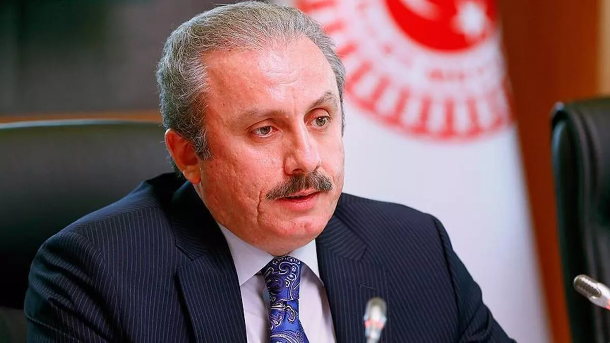 Mustafa Şentop'tan Prens Harry'e :Sen kimsin !