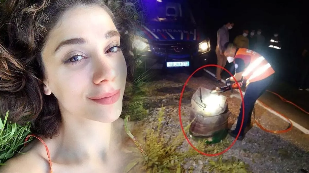 Pınar Gültekin davasında yeni gelişme!