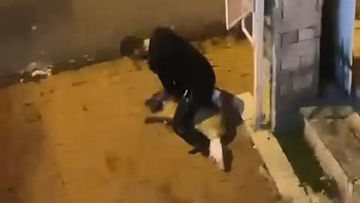 Köpeğe işkence eden caniye 1 yıl 3 ay hapis cezası