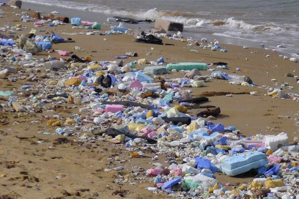 Doğa katlediliyor: Sarıyer Sahili çöp yığını oldu!