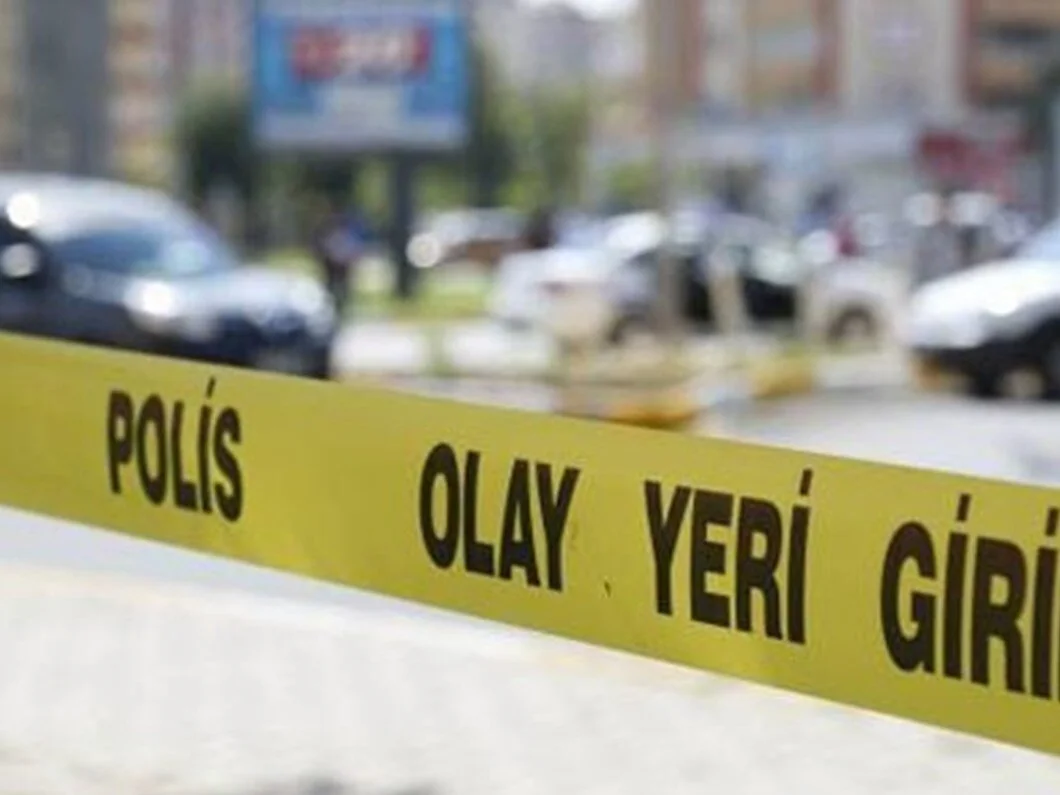 Gaziosmanpaşa'da dehşet saçtı!
