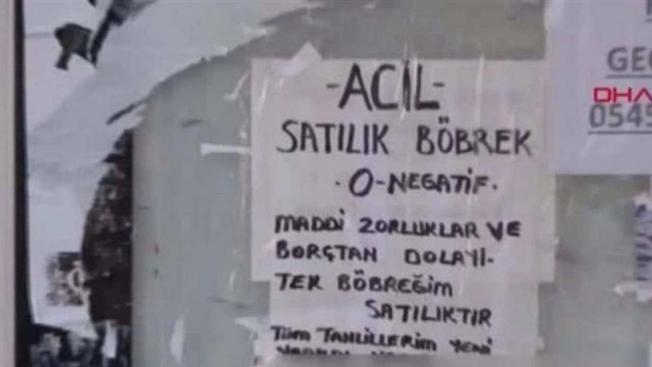 İnternetten satılık organa gözaltı