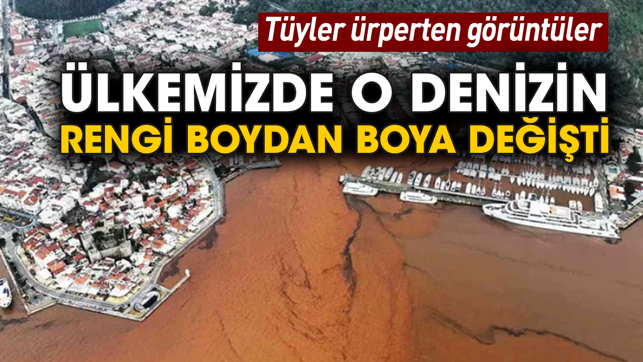 Ülkemizde o denizin rengi boydan boya değişti! Tüyler ürperten görüntüler
