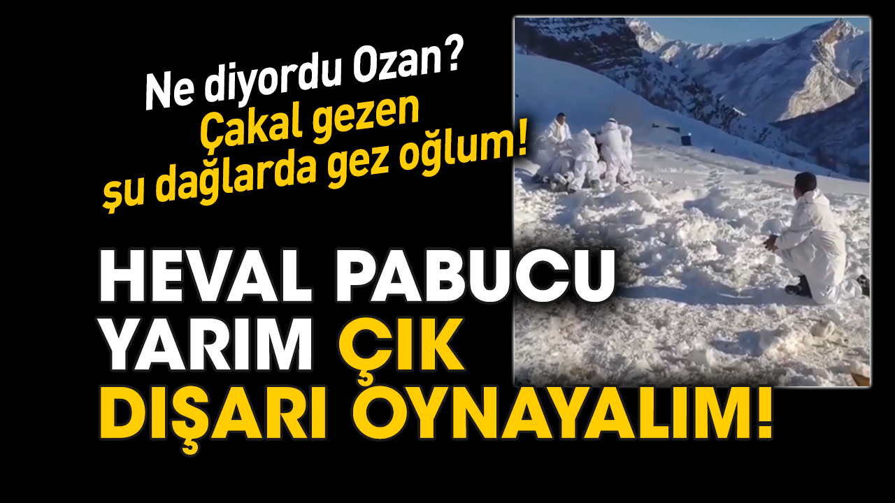 Ne diyordu Ozan? Çakal gezen şu dağlarda gez oğlum! Heval pabucu yarım çık dışarı oynayalım!