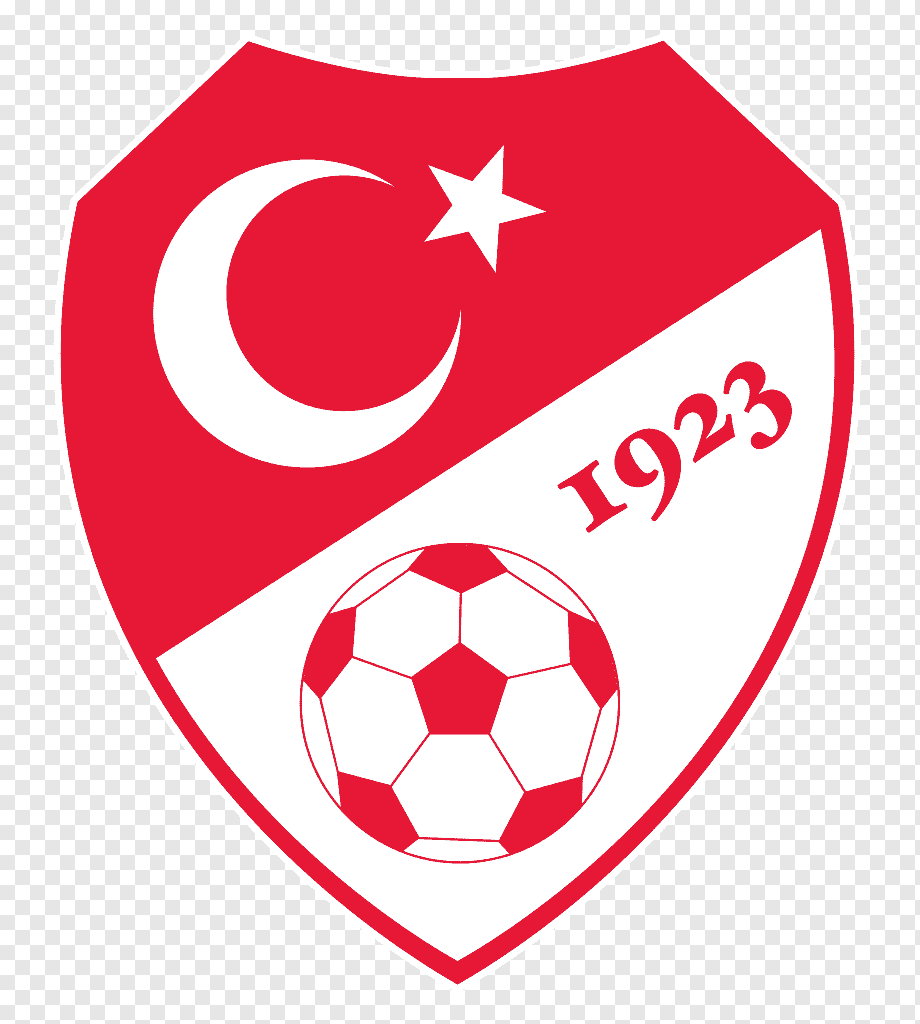 Türkiye - Galler maçı nerede oynanacak
