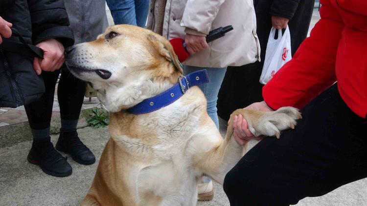 Trabzon'un Hachiko'su!