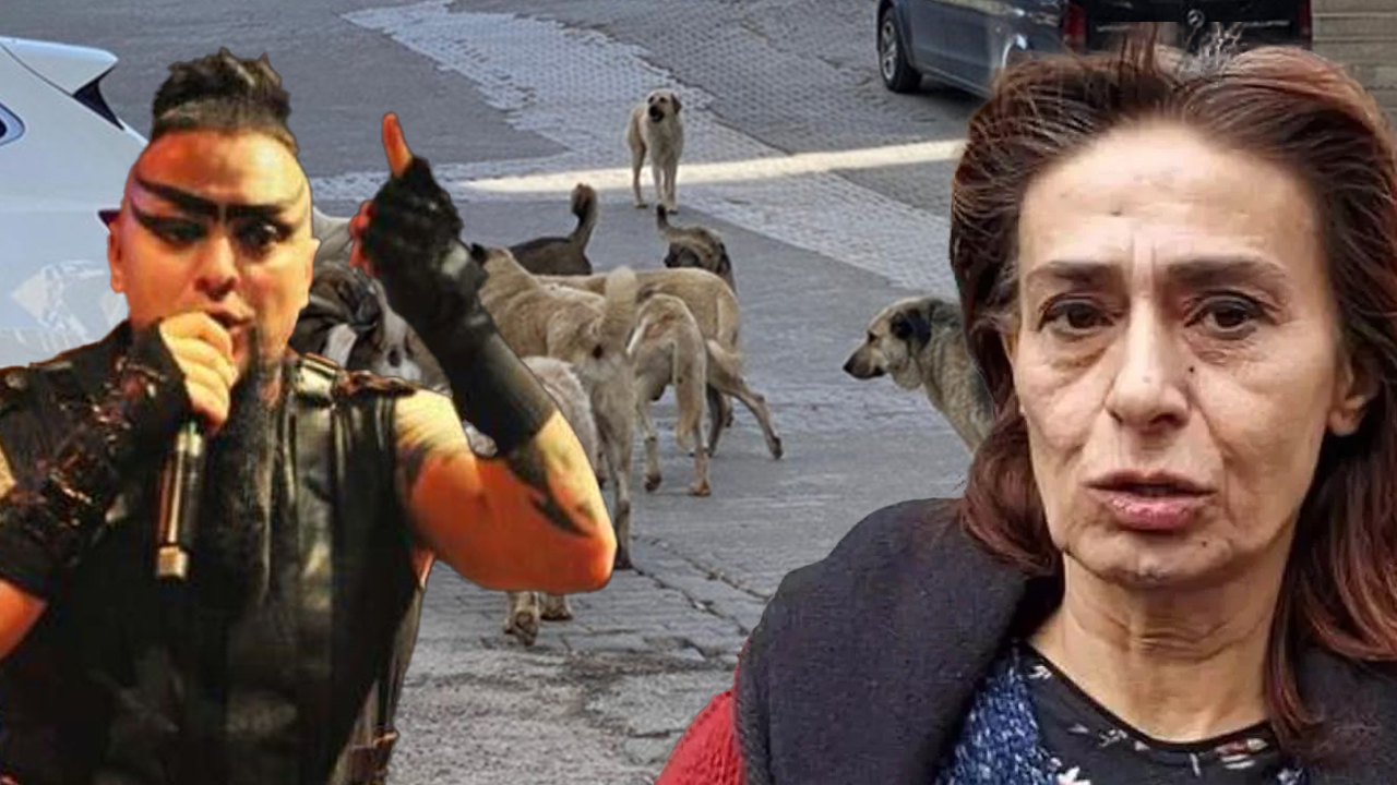 Hayko Cepkin'den Yıldız Tilbe'ye insanlık dersi