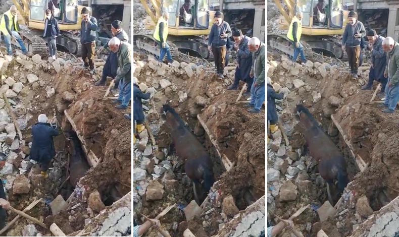 Depremin 21'inci gününde enkazdan sağ çıktı