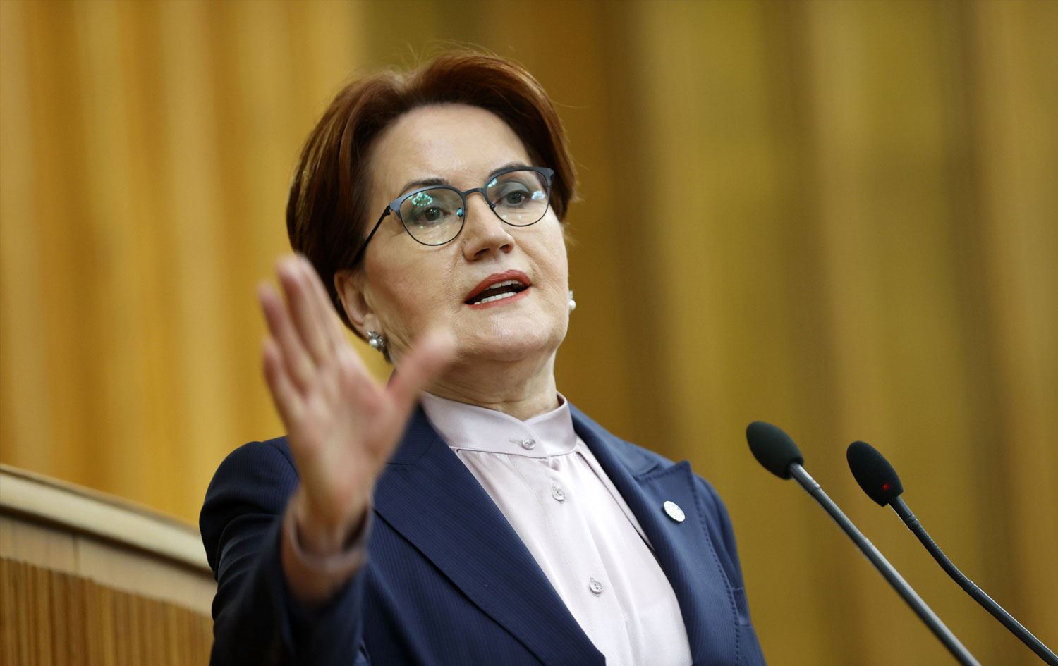 Akşener'den sonra ünlü isimlerden birlik çağrısı:halk kazanacak