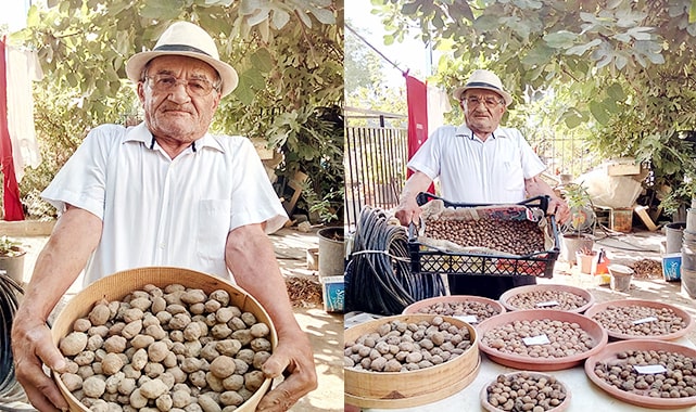 Denizli'nin salep dedesi zenginliğin sırrını açıkladı